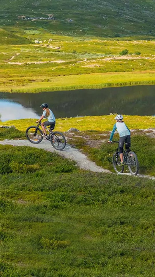 bild på cyklande personer i terrängen i tänndalen