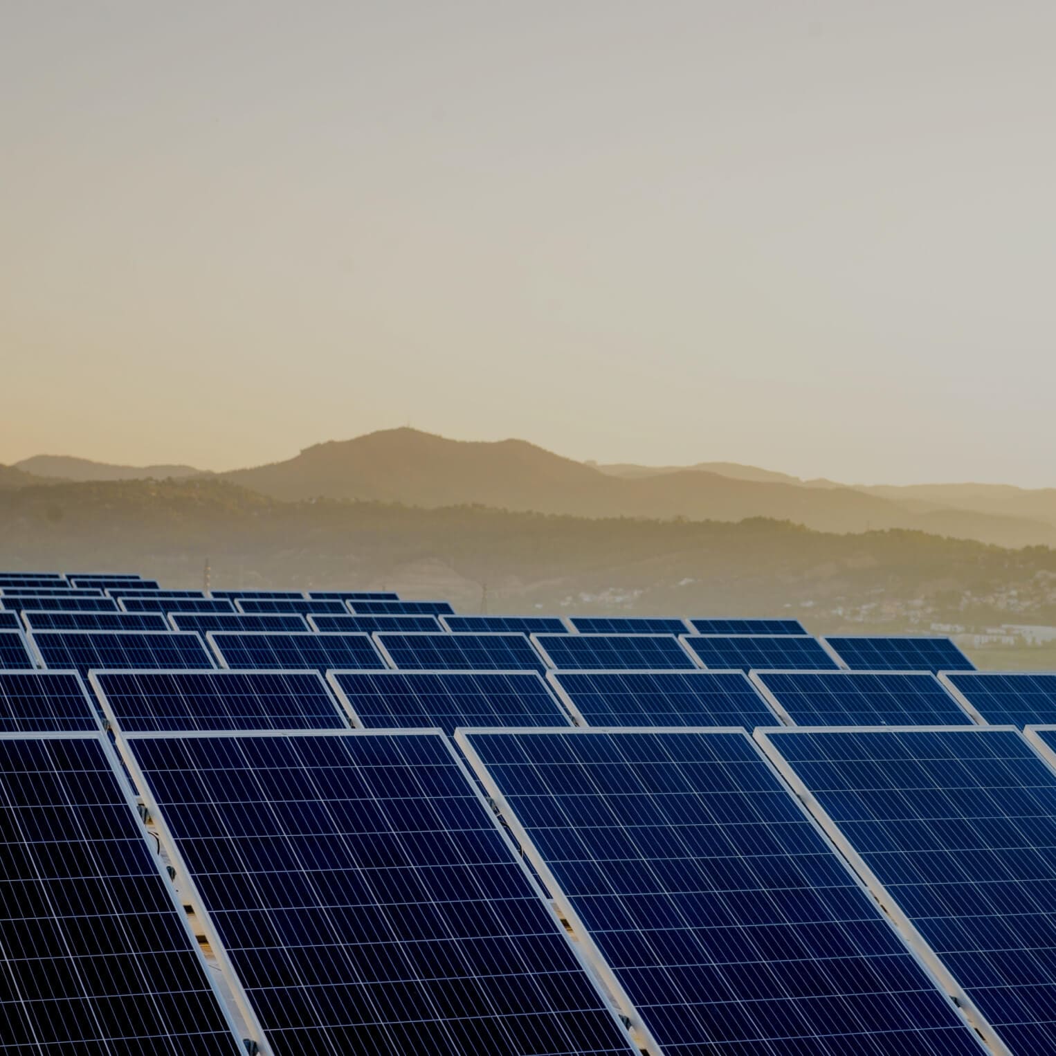 Sustainability