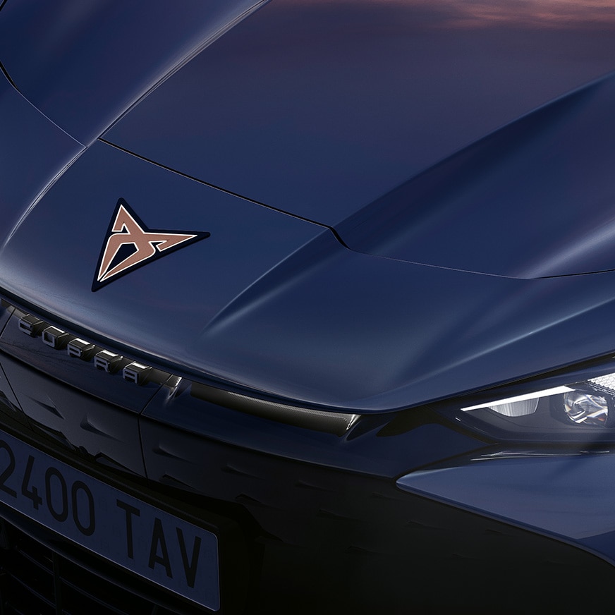 cupra tavascan fordonsstatus dörrar och belysning