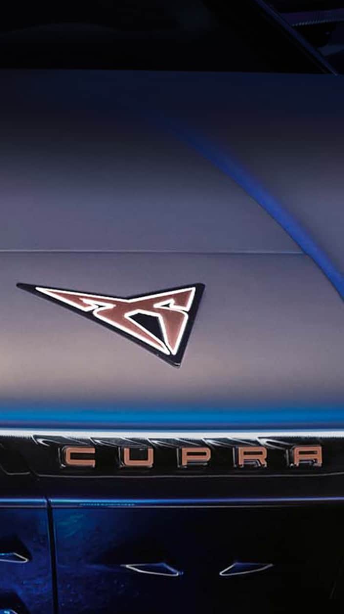 cupra formentor parkerad i skymningen